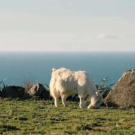 Gospodarstwo agroturystyczne New Sea View Sardinia, Bedda Ista *