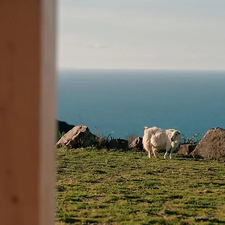 New Sea View Sardinia, Bedda Ista Castelsardo