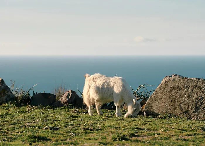 Farm stay New Sea View Sardinia, Bedda Ista *